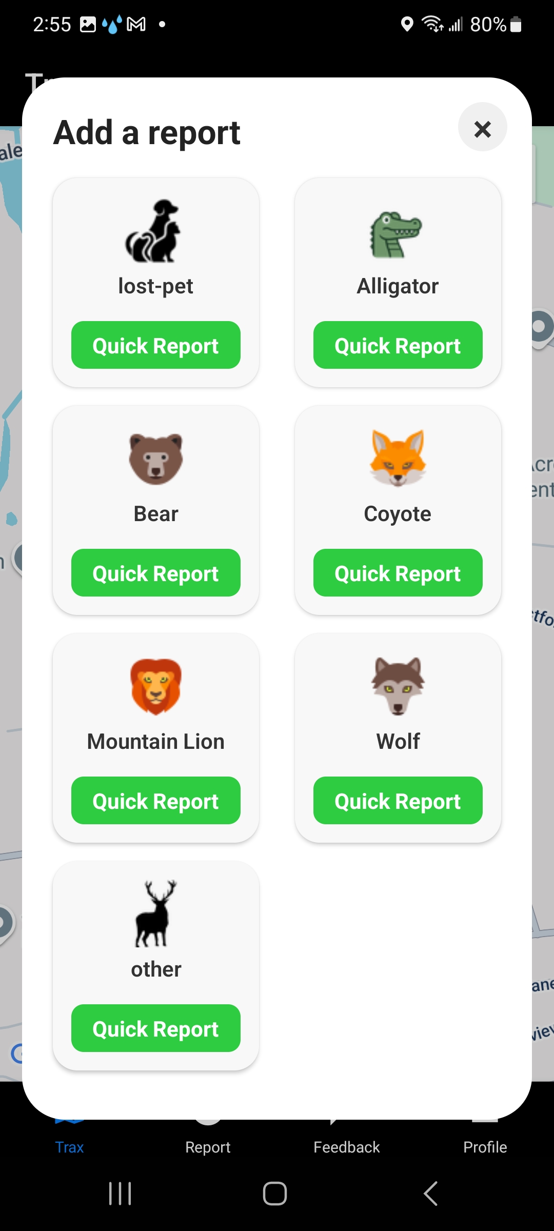 Quick Report Options
